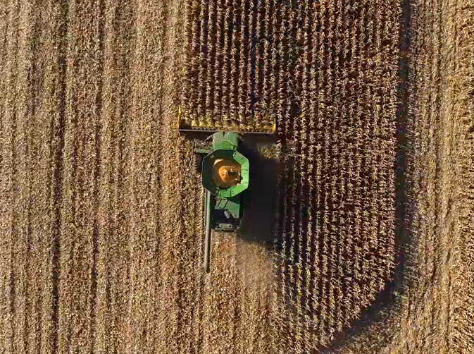 John Deere s680 + Fantini L03 12 row – corn harvesting