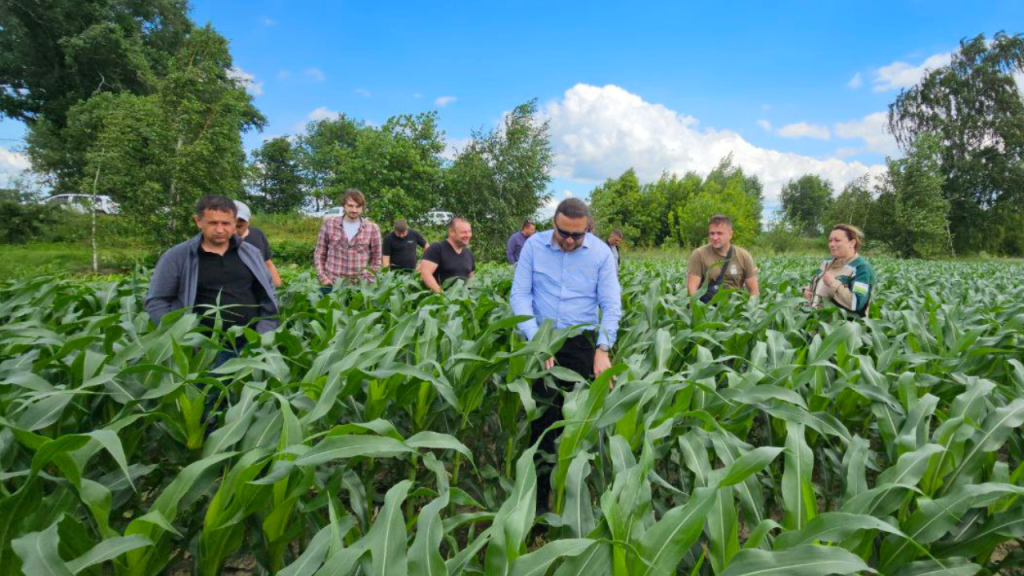 Огляд посівів кукурудзи командою Агро-Регіон