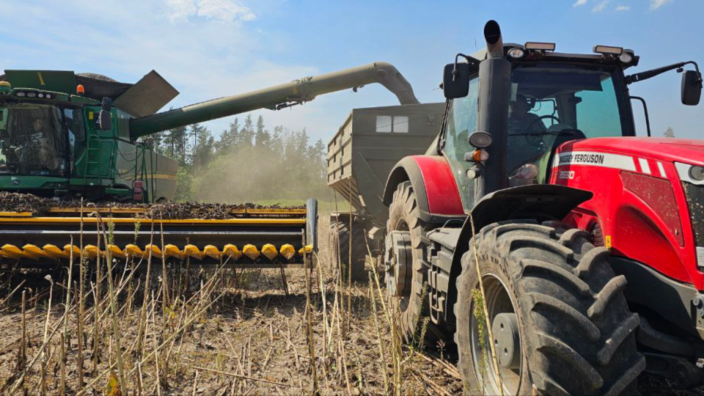 Agro-Region is currently harvesting soybeans and sunflowers