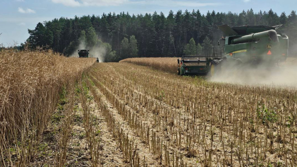 Agro-Region has successfully completed the harvesting of winter crops.