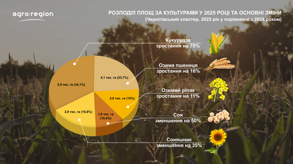 In the Chernihiv cluster, classical tillage will be reduced by 60%