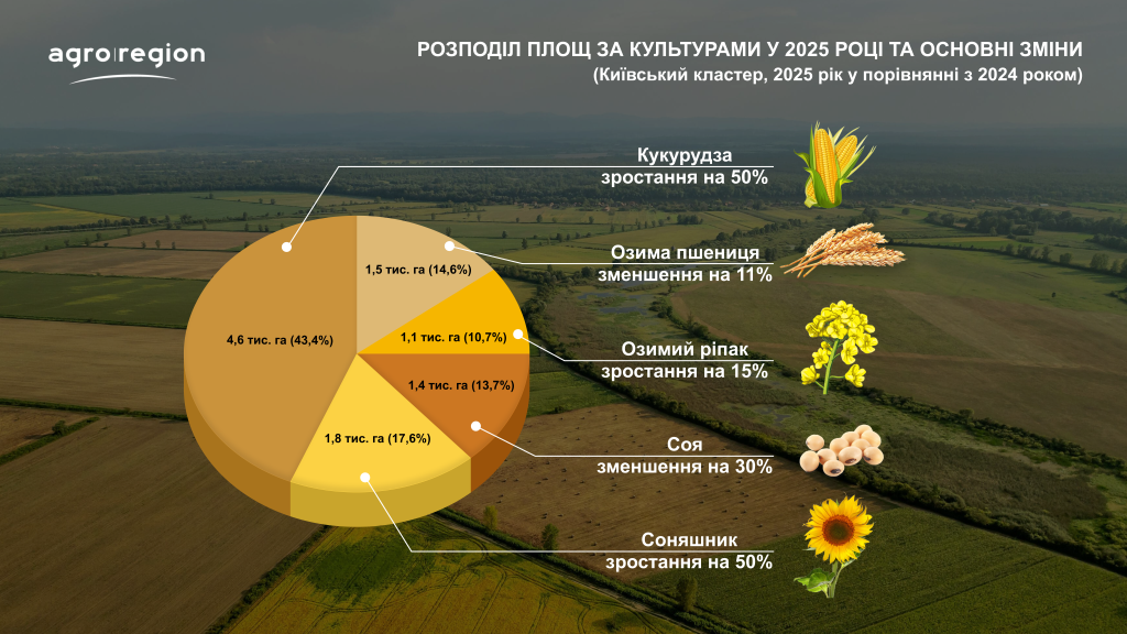 Агро-Регіон повертається до довоєнної кукурудзяної сівозміни