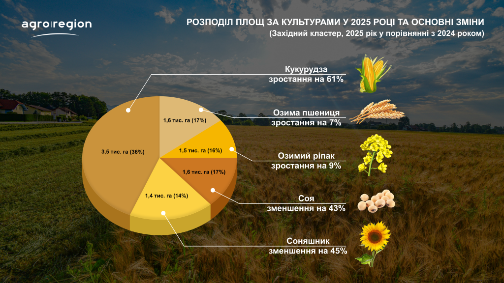 The Western cluster of Agro-Region is increasing its corn acreage by 61%